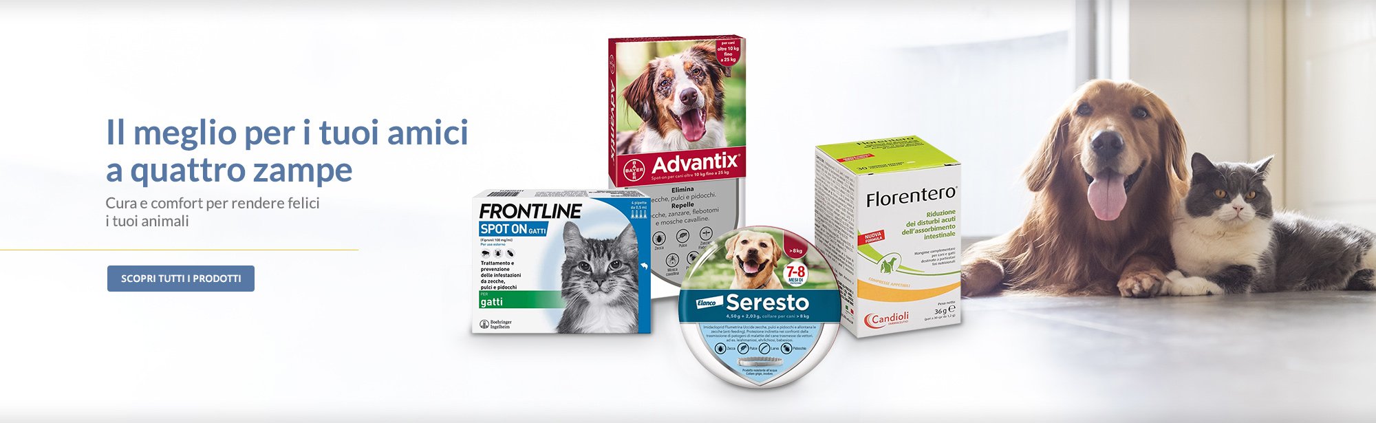 amici animali