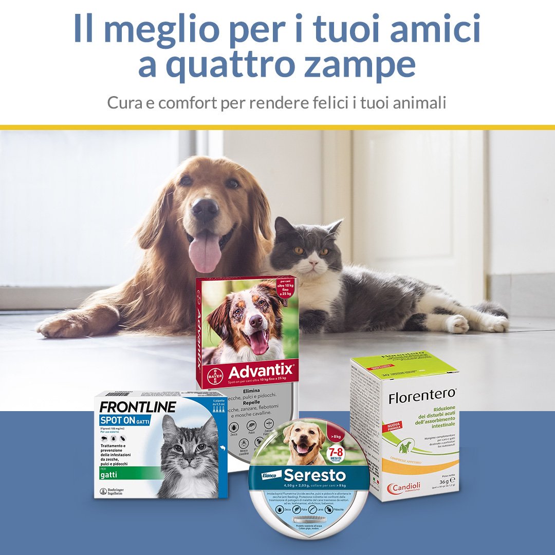 amici animali