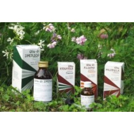 RAEMIL IPERICO OLIO 100ML RAEMIL IPERICO OLIO 100ML