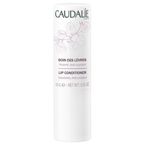 Caudalie Stick Labbra 4g