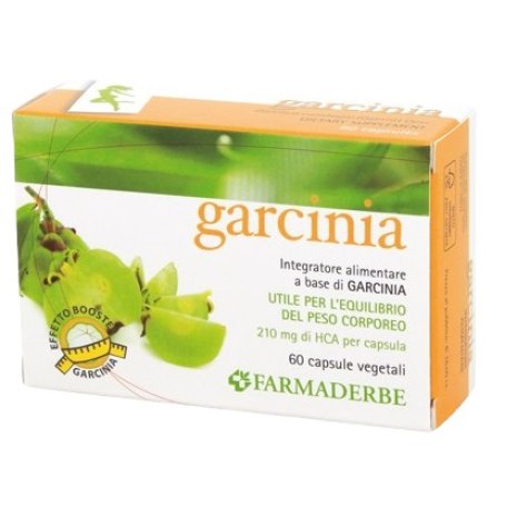 GARCINIA 60CPS 34,2G