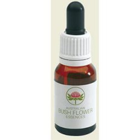 AUS BUSH MINT GTT 15ML