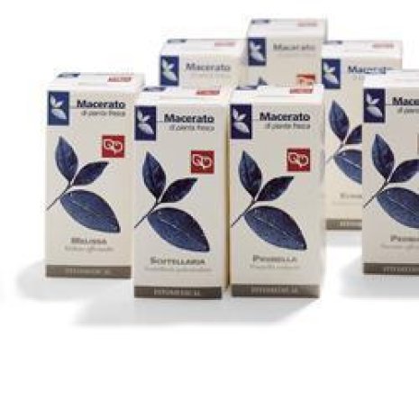 PRUNELLA 100ML TM PRUNELLA 100ML TM