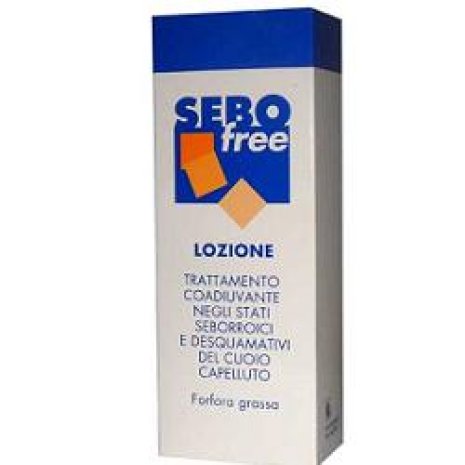 SEBOFREE LOZIONE 125ML