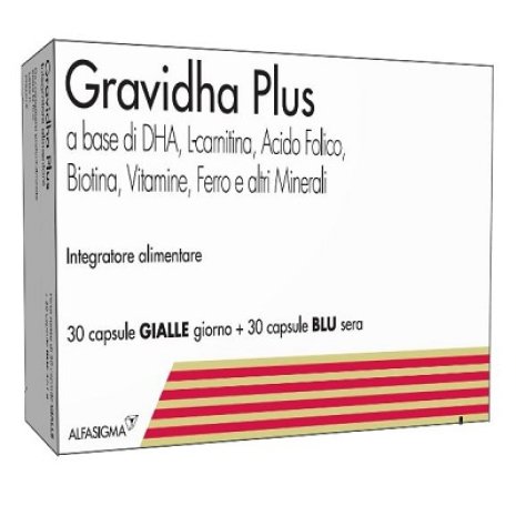 GRAVIDHA PLUS 30+30CPS GRAVIDHA PLUS 30+30CPS