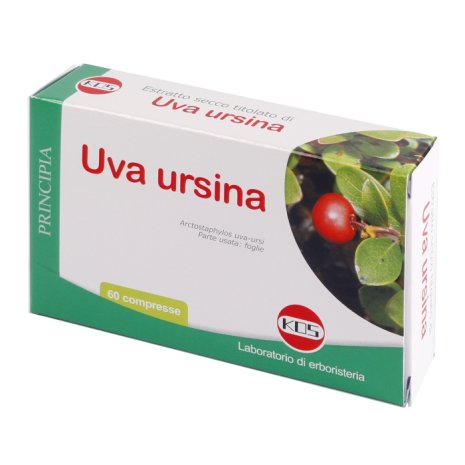 UVA URSINA ES 60CPR