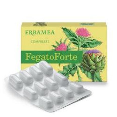 FEGATO FORTE 24CPR S/GL ERBAMEA FEGATO FORTE 24CPR S/GL ERBAMEA