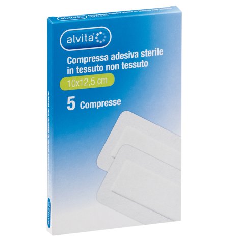 ALVITA GARZA ADES TNT 10X12,5