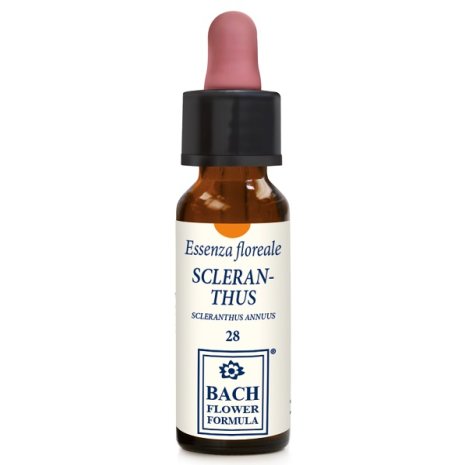 SCLERANTHUS ORIGIN 10ML GTT EBV SCLERANTHUS ORIGIN 10ML GTT EBV
