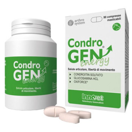Condrogen Energy 90cpr Mastic