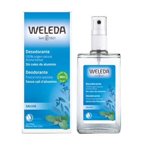 DEODORANTE SPRAY SALVIA 100ML DEODORANTE SPRAY SALVIA 100ML