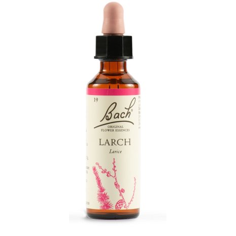 DHU  BACH LARCH ORIG 20ML