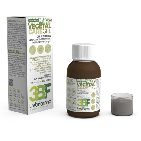 VEGETAL CARE GEL 100G VEGETAL CARE GEL 100G