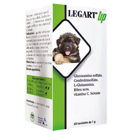 LEGART UP 60CPR VET