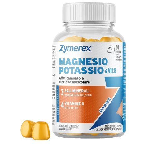 ZYMEREX MAGNESIO K VIT B6
