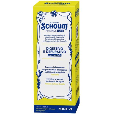 SOLUZIONE SCHOUM ADVANCE FORTE 2