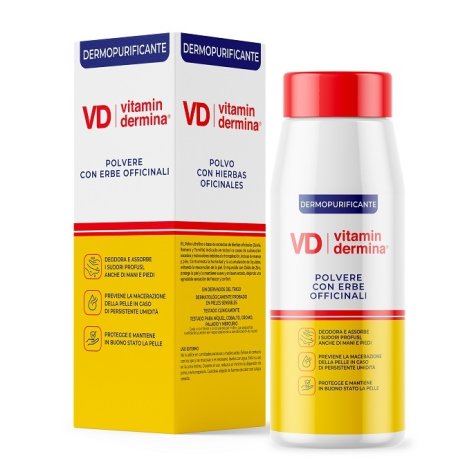 VITAMINDERMINA POLV ERBE OF 100G VITAMINDERMINA POLV ERBE OF 100G